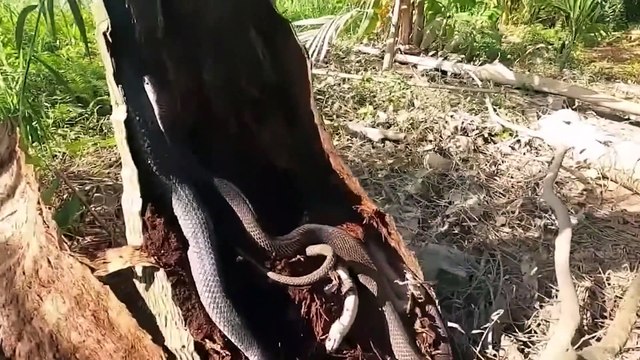 200 Cosas Increíbles Captadas por las Cámaras. Lo Mejor Del Mes part 2