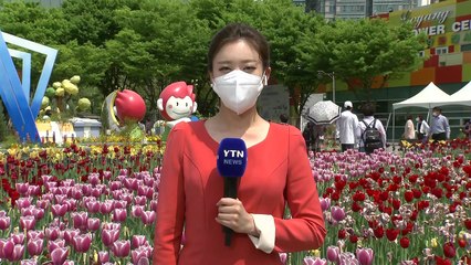 [날씨] 오늘 따뜻한 봄 날씨, 서울 낮 24℃...꽃가루 농도·자외선↑ / YTN