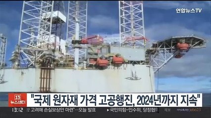 "국제 원자재 가격 고공행진, 2024년말까지 지속"