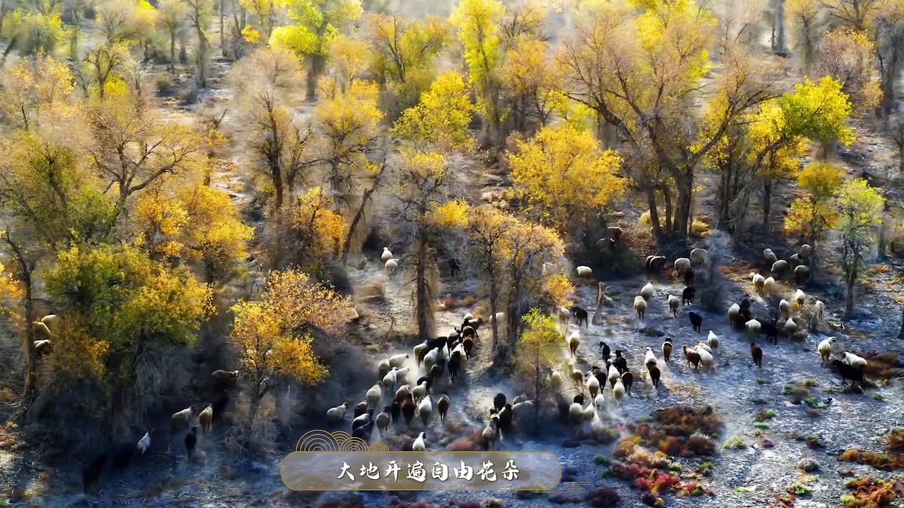 張含韻-山河是我(官方版MV) #動態歌詞 #Lyrics #正能量 #高音質 #中文歌
