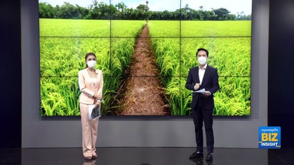 ภูเก็ตคาด ‘อาหรับ-อินเดีย-ออสซี่’ มาไทย 40%