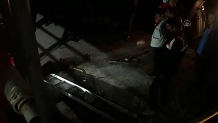 Menteşe'de bir çiftliğe ait kuyuda metan gazından etkilenen 4 kişi öldü