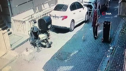Son dakika haber: İstanbul'da korku dolu pitbull saldırısı kamerada: Köpeğini parka götüren kadın dehşeti yaşadı