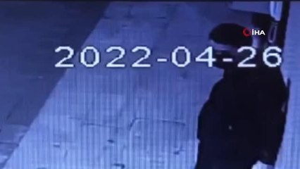 Sürüngen hırsızlar kamerada