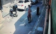 Son dakika haber! İstanbul'da korku dolu pitbull saldırısı kamerada: Köpeğini parka götüren kadın dehşeti yaşadı