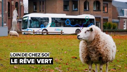 Faire du rêve vert du transport purement électrique une réalité