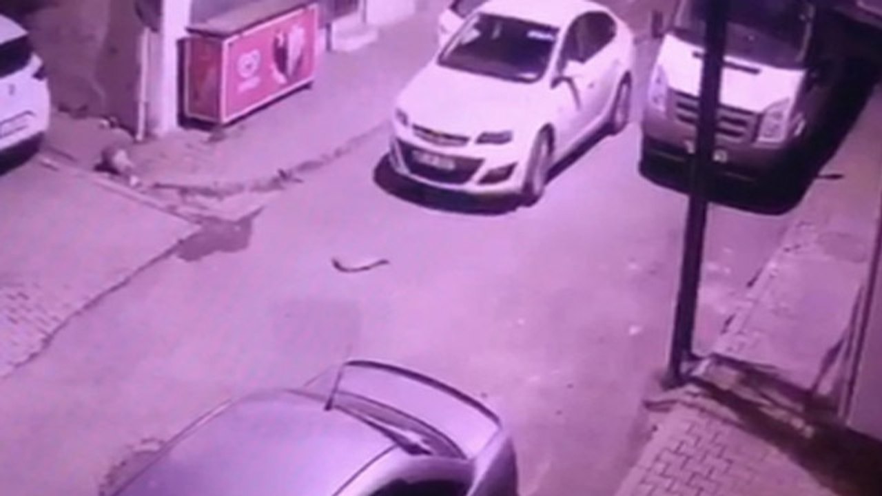 Balkondan hırsızlara süpürge fırlattı