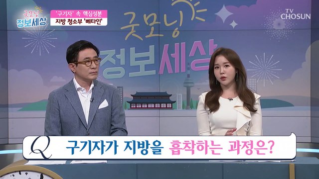 날씬한 혈관을 만들고 싶다면 챙겨야하는 『구기자』 TV CHOSUN 220428 방송
