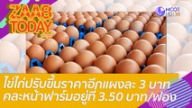 ไข่ไก่ปรับขึ้นราคาอีกแผงละ 3 บาท คละหน้าฟาร์มอยู่ที่ 3.50 บาท/ฟอง : แซ่บทูเดย์ (28 เม.ย. 65) OnAir