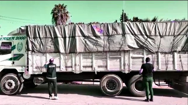 Mersin'de 5 milyon adet dolu makaron ele geçirildi