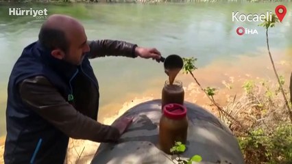 Kocaeli'de dereye atık su boşaltan firmaya suçüstü