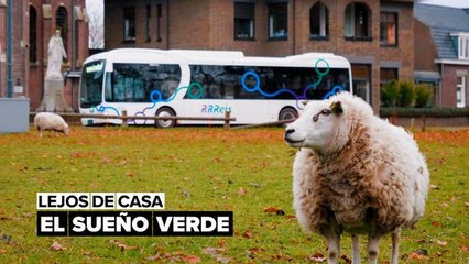 Convertir en realidad el sueño de un transporte completamente eléctrico