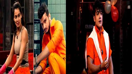 Lock Upp: Lock Upp के Winner का हुआ खुलासा, Mandana Karimi ने Munawar को बताया winner | FilmiBeat