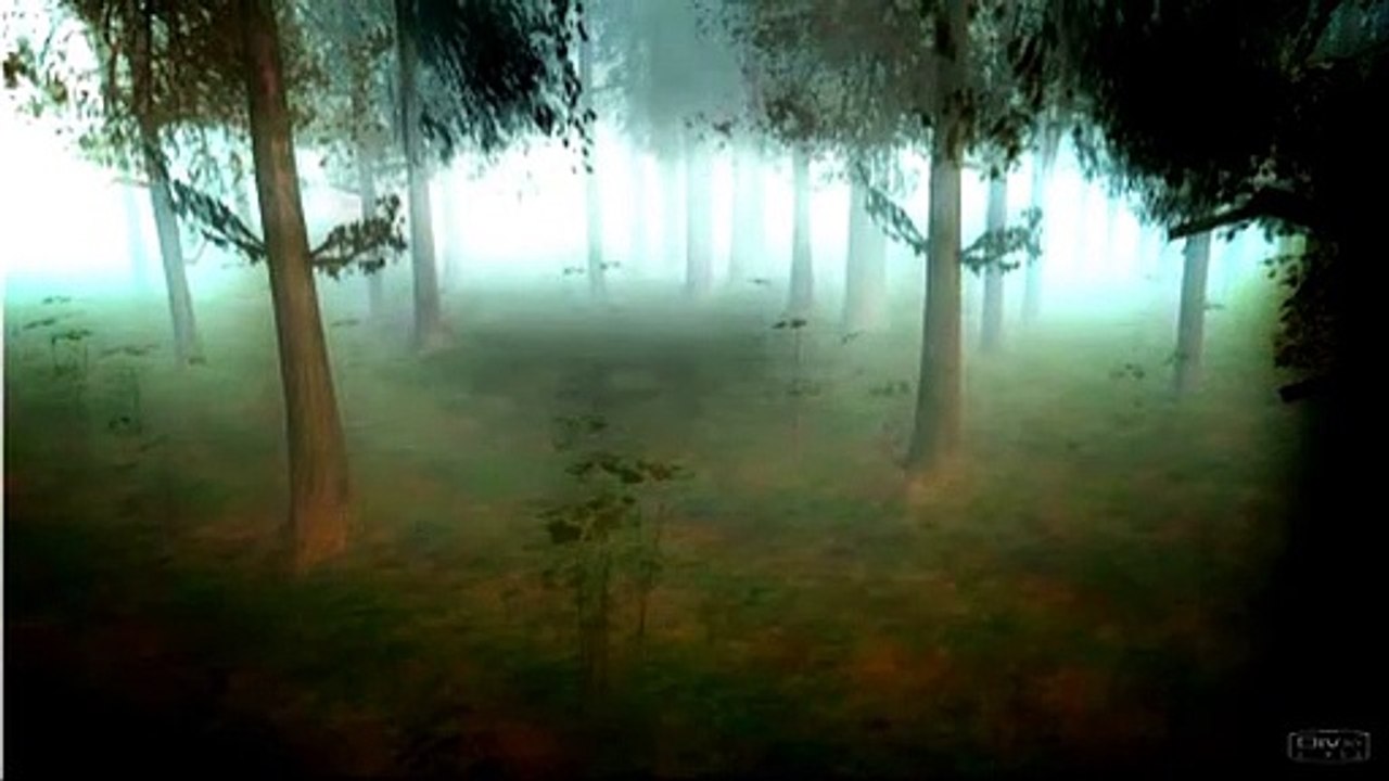 The Path #1