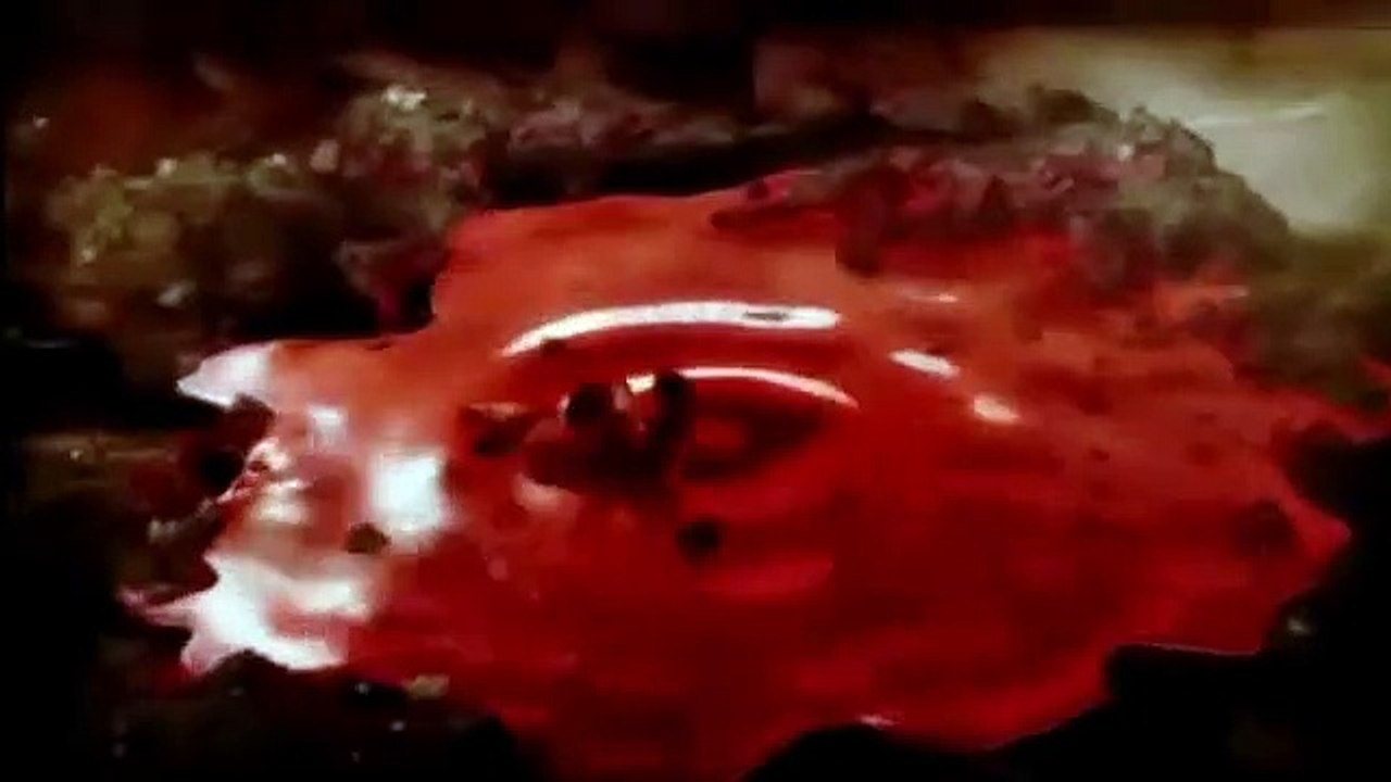 Vampire Rain #1