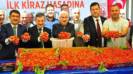 Manisa'da sezonun ilk kirazı 700 TL'den satıldı