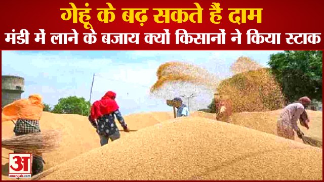 Wheat Prices May Increase In Haryana| मंडी में लाने के बजाय क्यों किसानों ने किया गेहूं स्टाक