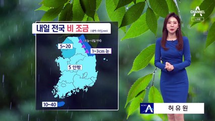 [날씨]내일 출근길 전국 비…낮에도 선선