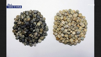 [픽뉴스] 1500년 전 바둑돌 / "팬데믹 끝났다" / 기생충 도시락 / 목 잘린 '우정 동상' / 윤석열 대북전단