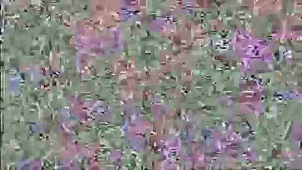 Rayman Raving Rabbids: TV Party 007