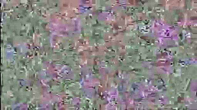 Rayman Raving Rabbids: TV Party 007