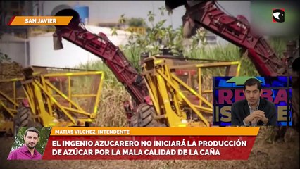 El ingenio azucarero no iniciará la producción de azúcar por la mala calidad de la caña