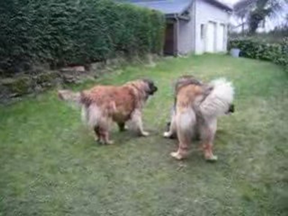 Les aventures d'un trio 003