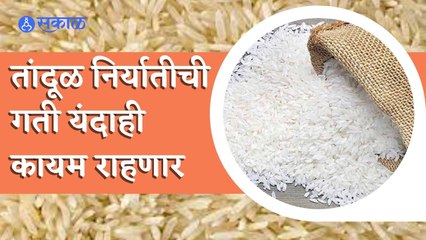 Rice Export | देशात अधिक तांदूळ उत्पादनामुळे निर्यात जास्त होण्याची शक्यता | Sakal