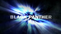 Marvel: Ultimate Alliance 2 Black Panther