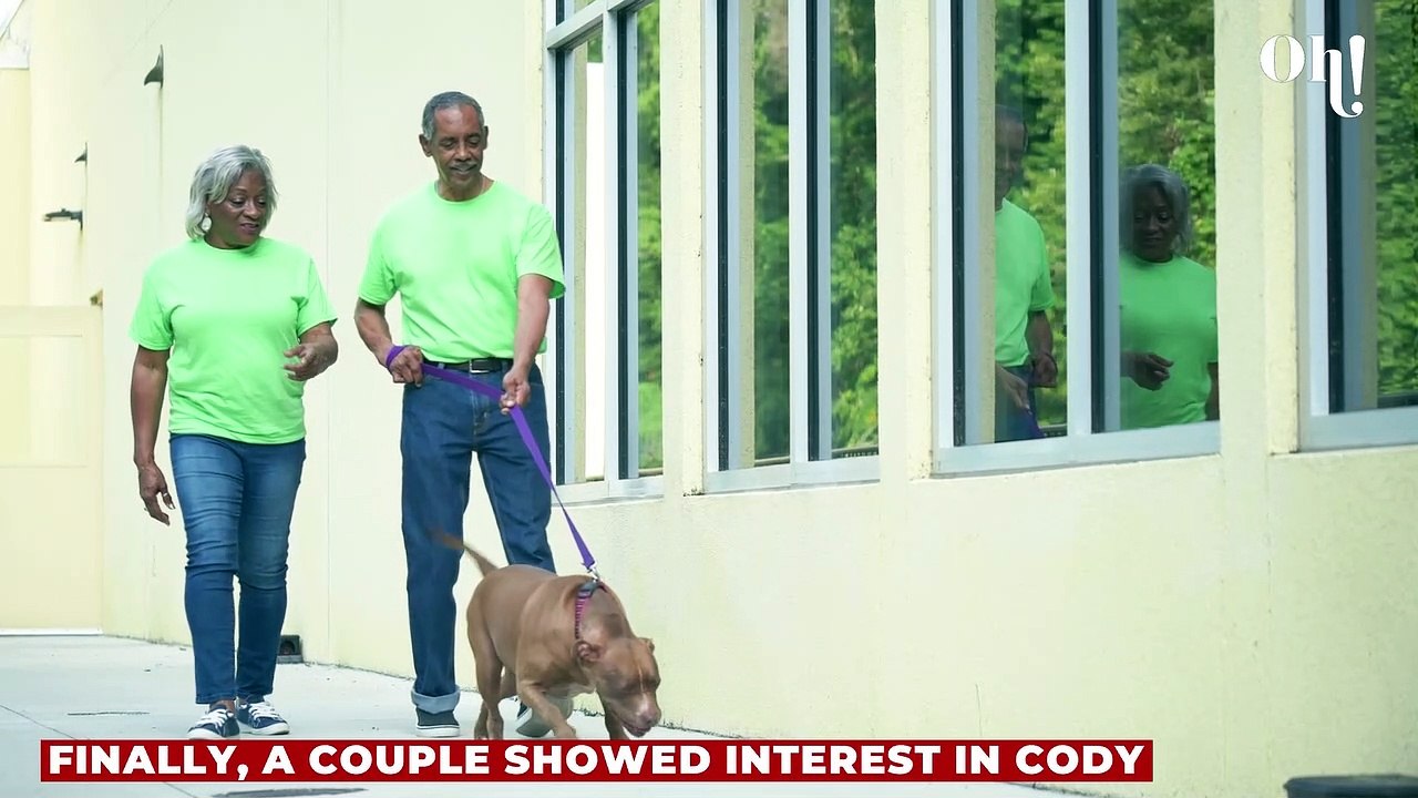 Dog who spent his entire life in a shelter gets rejected on his adoption day