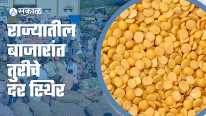 Tur Market Price | तुरीचा आजचा बाजारभाव जाणून घ्या | Sakal