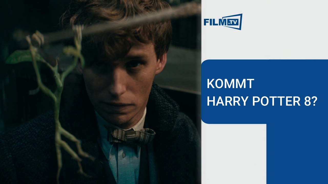 „Harry Potter 8“: Filmstudio will angeblich statt „Tierwesen 4“ neue Wege gehen