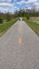 Territorial Turkey Does Circles with Cyclist