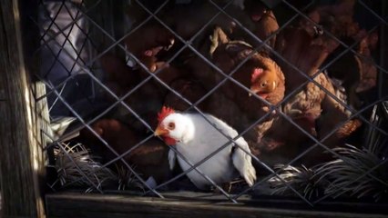 Fable III Cinematic Intro