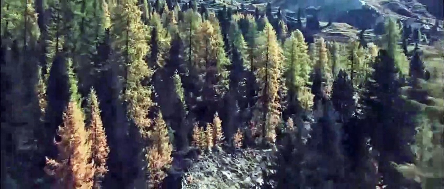 Need For Speed: Hot Pursuit Pagani vs Lamborghini