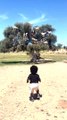 Toddler Finds Goats in Tree