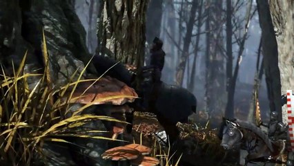 War of the Roses gamescom 2011