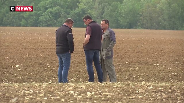 Huile de tournesol : quelles solutions ?