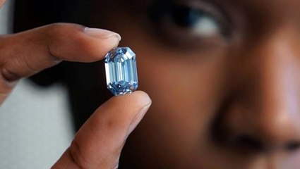 Dünyanın en büyük mavi elması 57.5 milyon dolara alıcı buldu