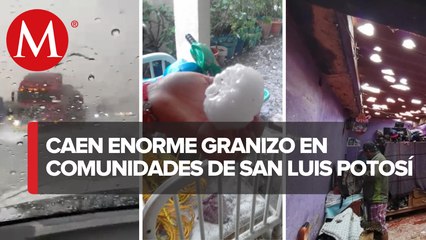 Tormenta de granizo afecta a 5 comunidades de San Luis Potosí