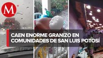 Tormenta de granizo afecta a 5 comunidades de San Luis Potosí