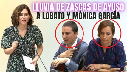 Ayuso vapulea a Lobato sacando a la luz la corrupción del PSOE y sacude a la ‘Mema’ Mónica García