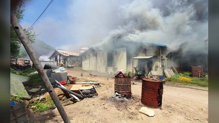 충북 충주시 양계장에 불...닭 4만 8천여 마리 폐사 / YTN