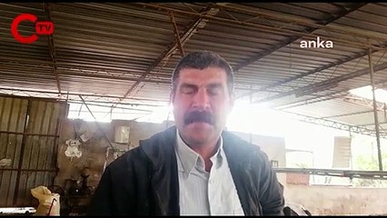 Süt üreticisi isyan etti: Faturaları hayvanları eksilterek ödüyoruz
