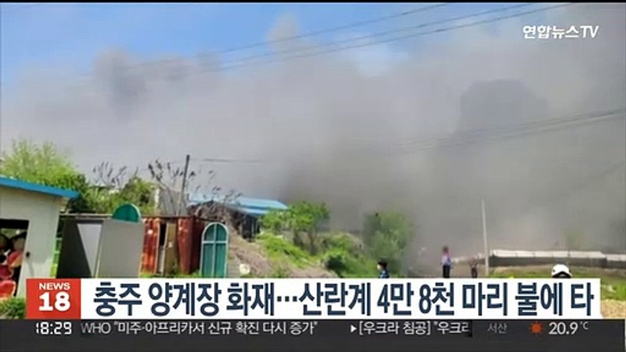 충주 양계장 화재…산란계 4만8천마리 불에 타