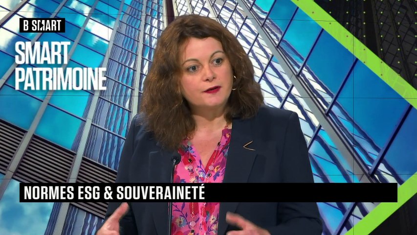 Finance durable : la bataille des normes ESG 