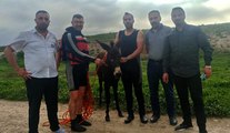 Dicle Nehri'nde mahsur kalan eşek kurtarıldı