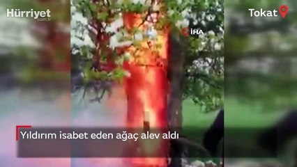 Yıldırım isabet eden ağaç alev aldı