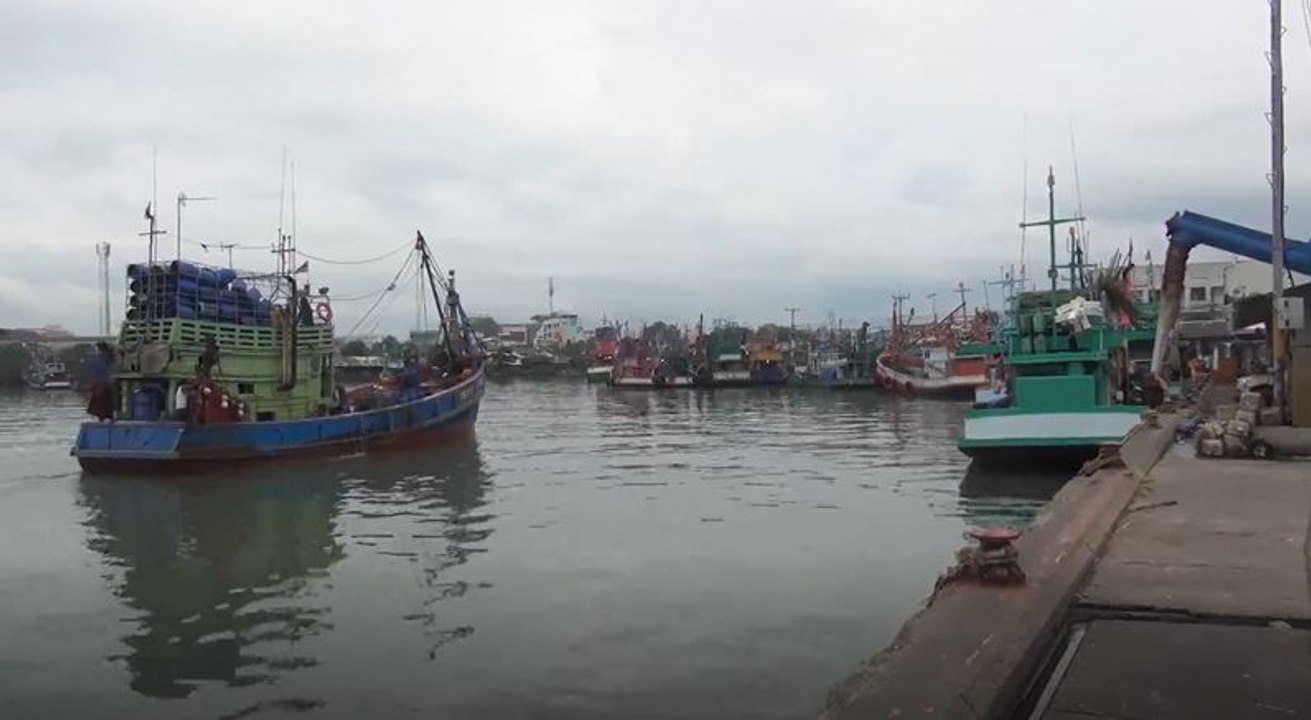 "น้ำมันแพง" เรือประมงสงขลาจอดไปแล้ว 80% หันไปพึ่งน้ำมันเถื่อนช่วยต่อชีวิต