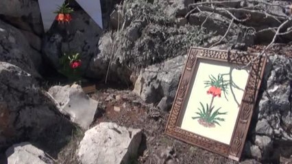 KAHRAMANMARAŞ  - "Ağlayan gelin" geleneksel ürünlere işleniyor